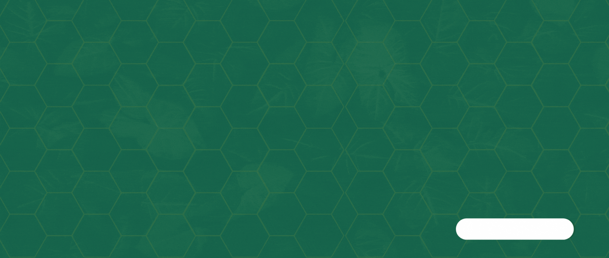 Orange and Maroon Organic Jam and Honey Promotion Banner Landscape (1)